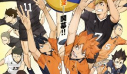 排球动漫,梦想与激情的碰撞