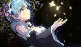 二次元动漫视频,一场视觉与情感的盛宴